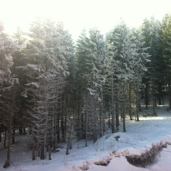 Das Foto wurde bei Bellevue Ski &amp; Spa Hotel von Polly G. am 12/31/2012 aufgenommen