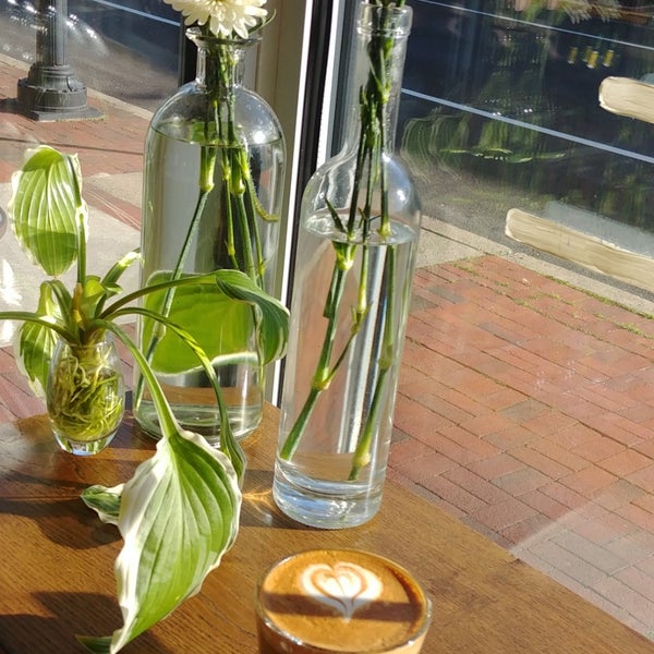 Calm Waters Coffee Roasters Coffee Shop in Bristol