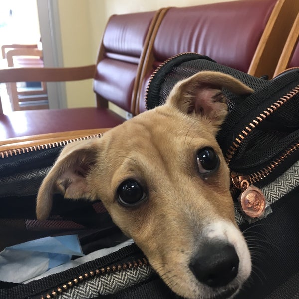 People For Animals Spay/Neuter Clinic Robbinsville, NJ