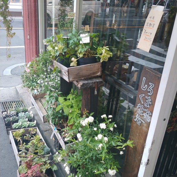 しろくま生花店 Flower Shop