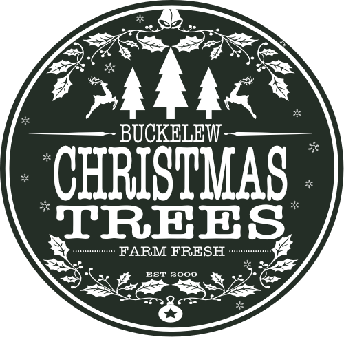 buckelew farm christmas trees Tucson, AZ