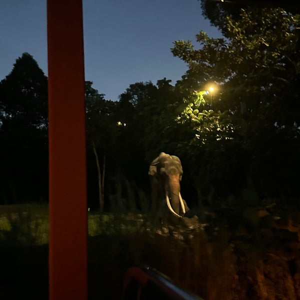 รูปภาพถ่ายที่ Night Safari โดย Anonymous เมื่อ 6/21/2023
