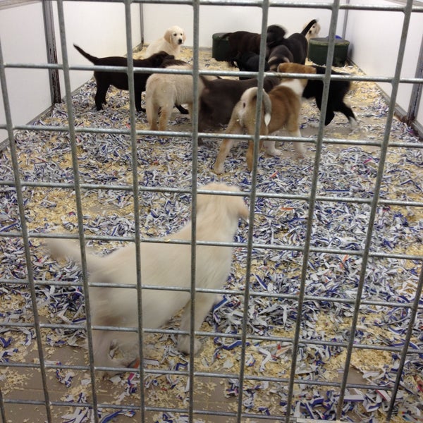 Photos à Animals Express Zellik, Brabant Flamand