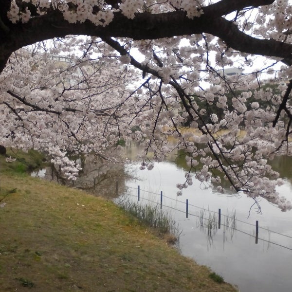 Photos At 府大池 中区学園町1 1