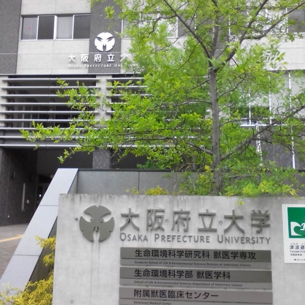 大阪府立大学 りんくうキャンパス Universidade