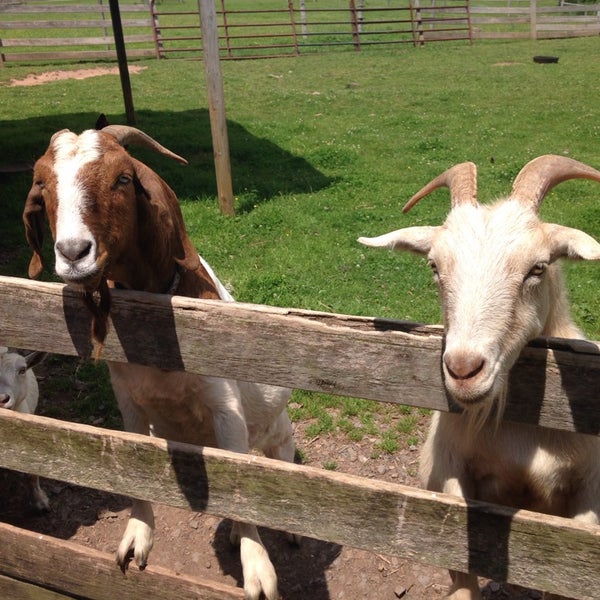 Schoolhouse Earth 4 tips from 113 visitors