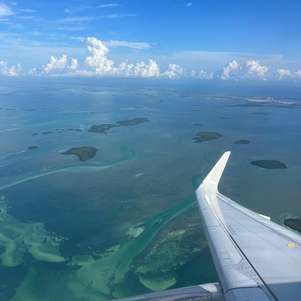 Key West Butterfly & Nature Conservatory Key West, FL