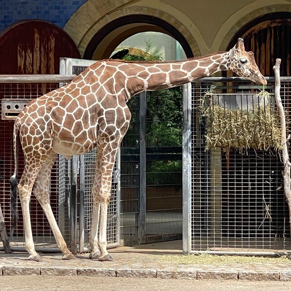 Photo taken at Zoo Berlin by Chip C. on 7/30/2023