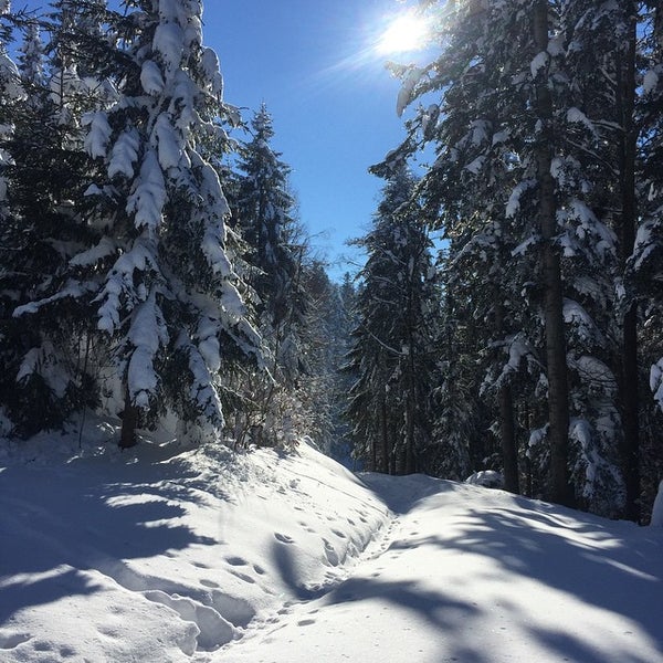 Photo taken at Bachtel-Kulm by PETER S. on 2/12/2015