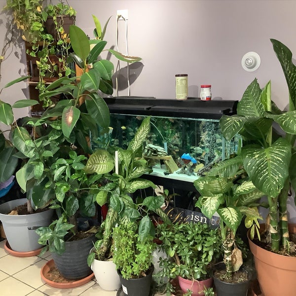 Cutting Edge Hair Gallery Hair Salon