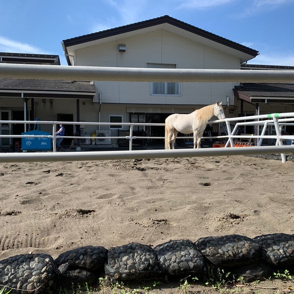 Photos at 東京競馬場乗馬センター - Athletics u0026 Sports in 府中市