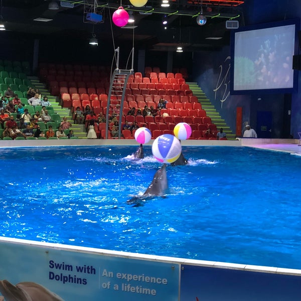 Photo taken at Dubai Dolphinarium by Aliasgar D. on 4/28/2018