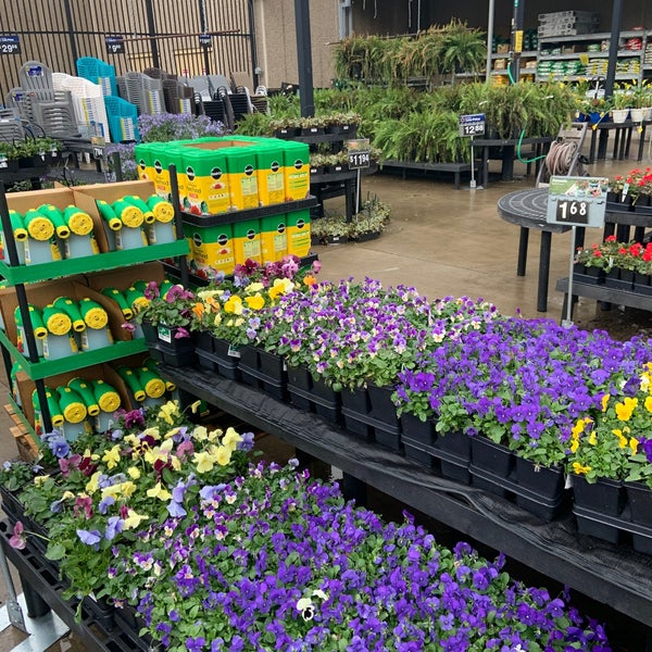 Are Dogs Allowed In Walmart Garden Center