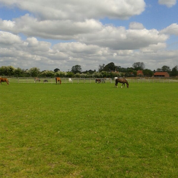 Bransby Home Of Rest For Horses Lincoln, Lincolnshire