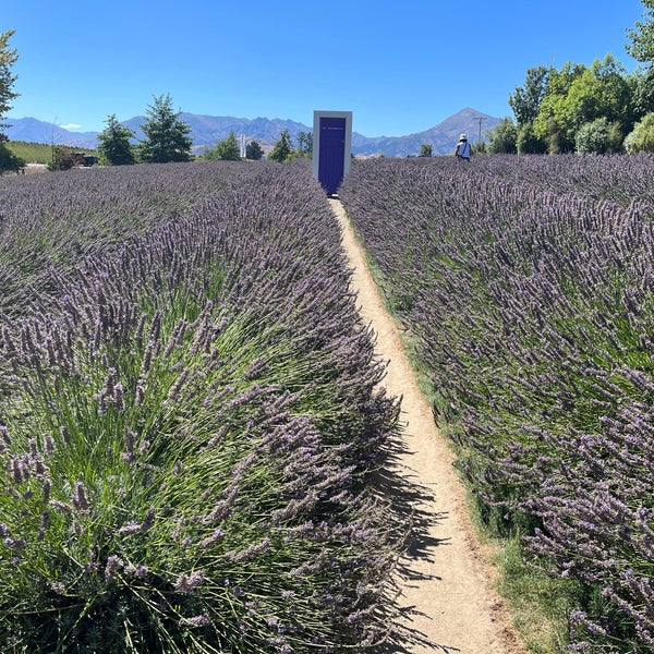 Photo taken at Wanaka Lavender Farm by Orchid L. on 2/14/2023