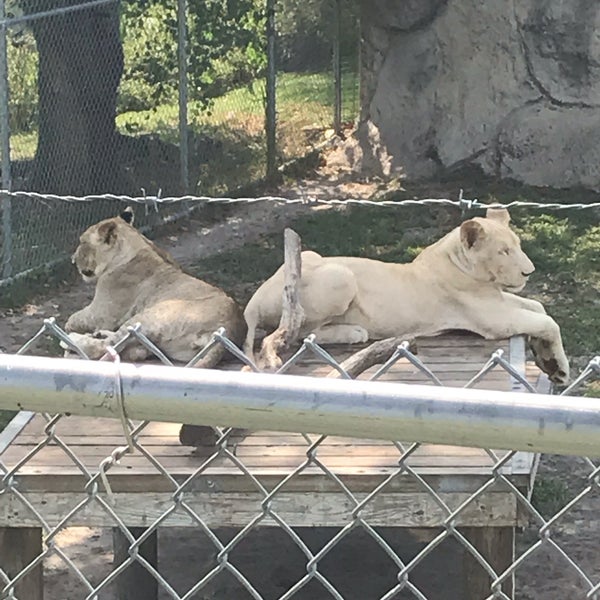 Das Foto wurde bei Alabama Gulf Coast Zoo von Sandy D. am 9/25/2019 aufgenommen