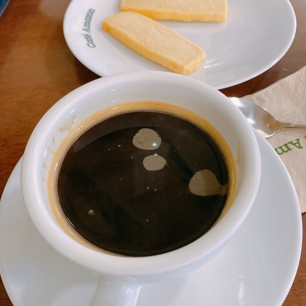 cafe kopi luwak amazon