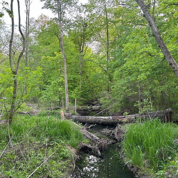 Celery Bog Nature Area 9 tips from 197 visitors