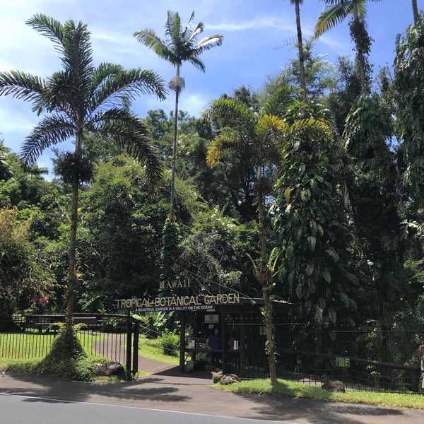 รูปภาพถ่ายที่ Hawaii Tropical Botanical Garden โดย Michael F. เมื่อ 6/26/2019