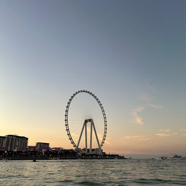 1/17/2024にNがThe Beachで撮った写真