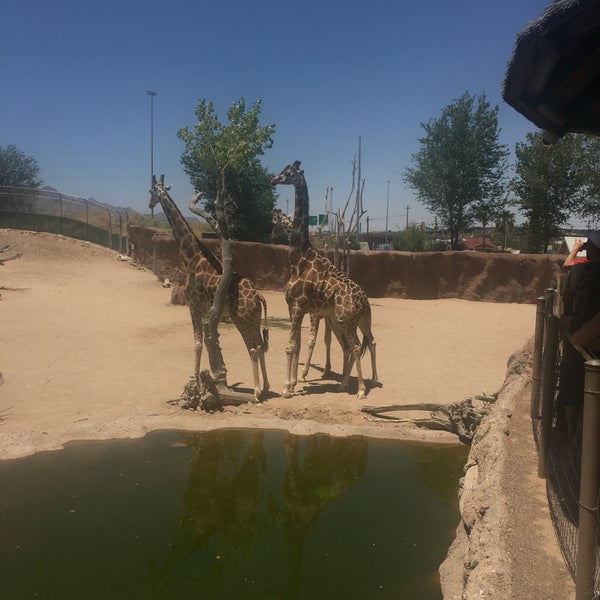 Photo taken at El Paso Zoo by Edwin T. on 5/28/2016