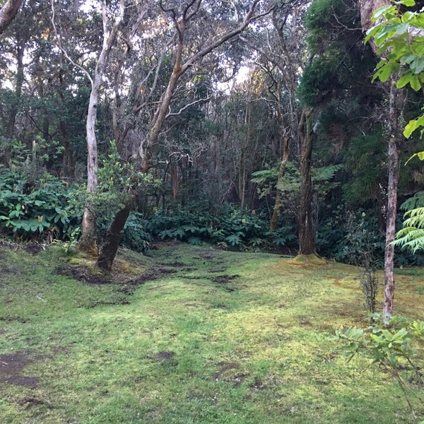 Photos At Hale Ohia Cottages Hotel In Volcano