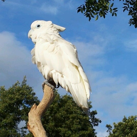 tropical birdland farm in desford tropical birdland farm in desford