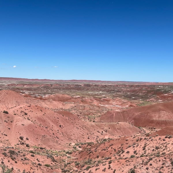 Painted Desert 13 tips from 1413 visitors