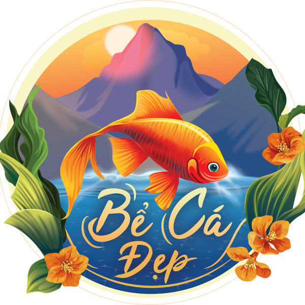 Một bể cá đẹp thủy sinh mini đẹp là mong muốn của người yêu thích cá kiểng https://becadep.vn/ https://www.facebook.com/shopbecadep/