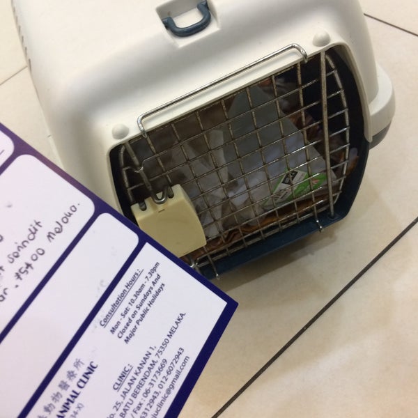 Maju Animal Clinic Kampung Sungai Putat