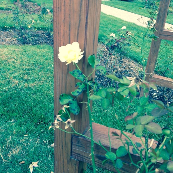 Photos at Rose Garden Park in Westside