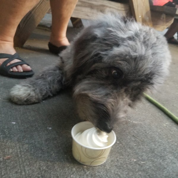 Das Foto wurde bei Sweet Melissa&#39;s Ice Cream Shop von Jenna S. am 6/29/2019 aufgenommen