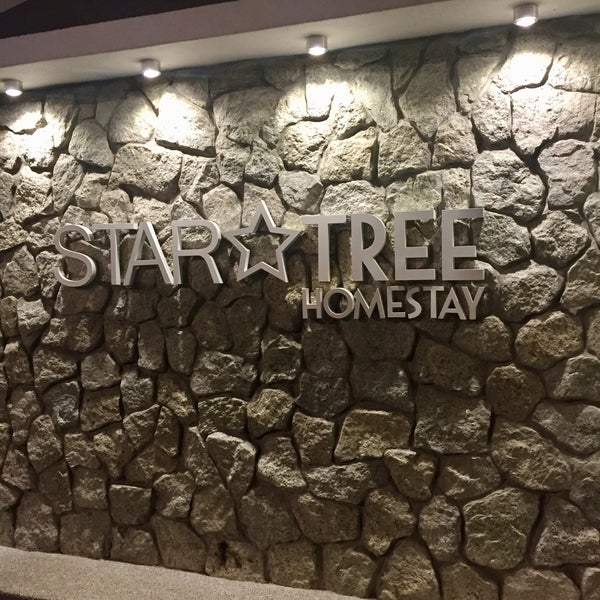 Star Tree Homestay 41 Visitors