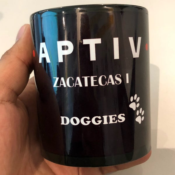 APTIV Planta I Fábrica en Guadalupe