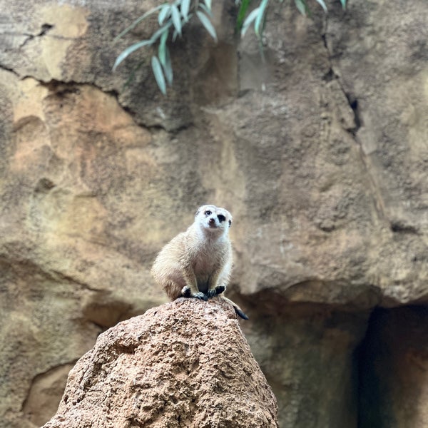 Das Foto wurde bei Lincoln Park Zoo von Faria M. am 10/9/2023 aufgenommen