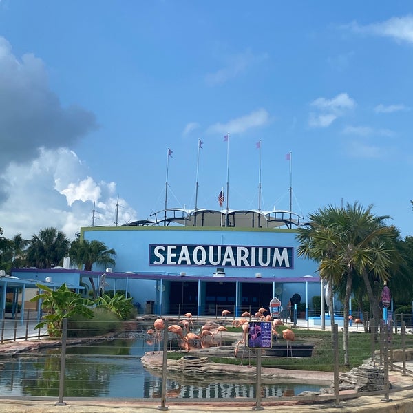 Photo taken at Miami Seaquarium by Naj K. on 8/25/2023