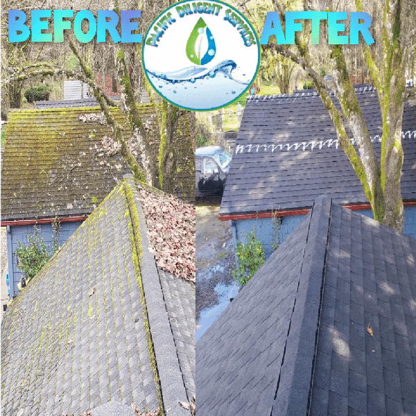 Pacific Diligent Services Roof Moss Removal & Gutter Cleaning