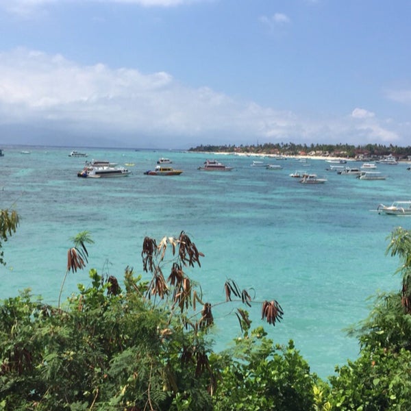 Coconuts Beach Resort 5 tips from 159 visitors