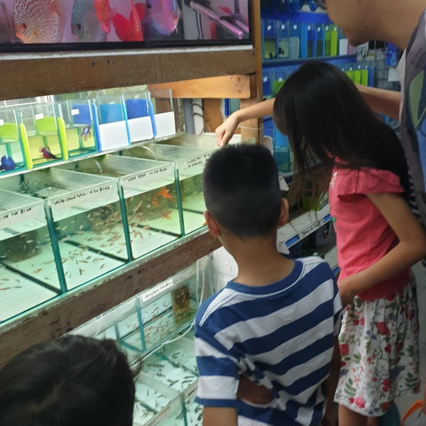 Polyart Aquarium Clementi 3 tips