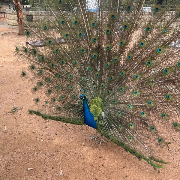 Foto tomada en Taronga Zoo  por Manar . el 10/28/2023