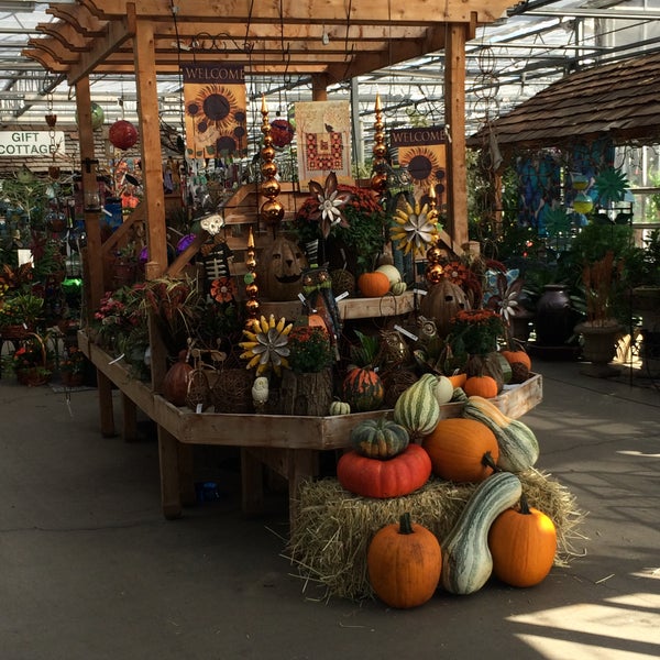 Locally grown pumpkins, gourd, and squash at Stanley's Greenhouse