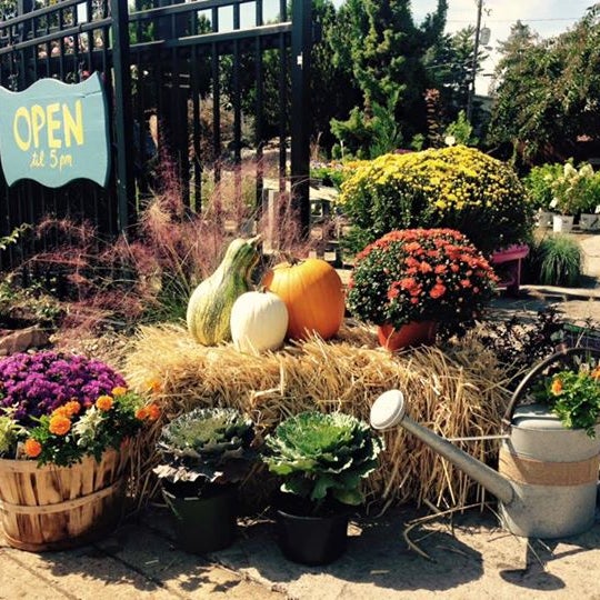 Our Stanley's Secret Garden location is now open for the fall planting season at 305 S. Northshore Drive