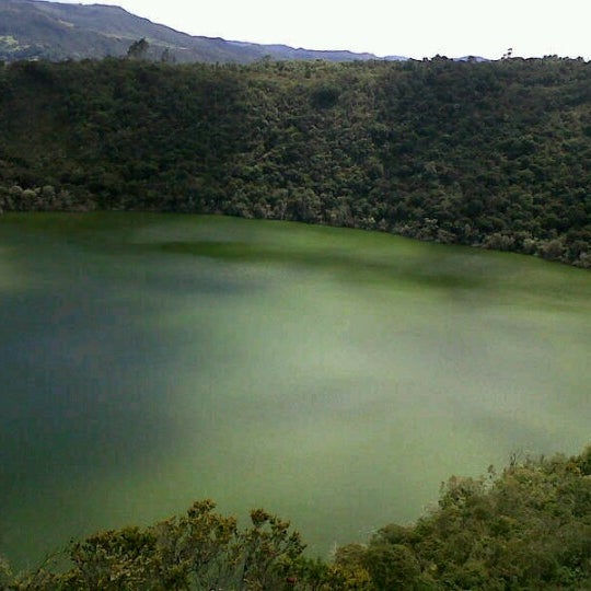 Top Of The Lake Donde Verla