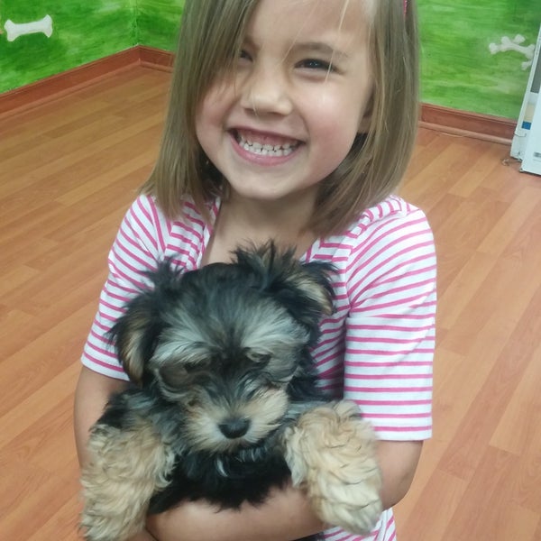 LC Pets LLC Pet Supplies Store in Hartland