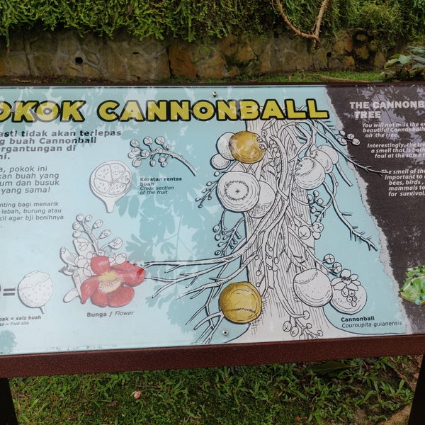 Photos at Edible Garden - Taman Tasik Perdana