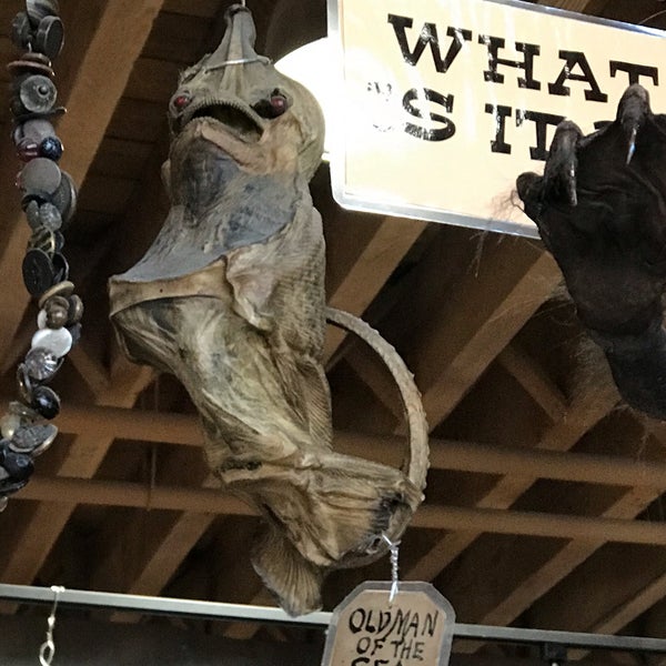 Photo taken at Ye Olde Curiosity Shop by Michelle M. on 10/11/2019