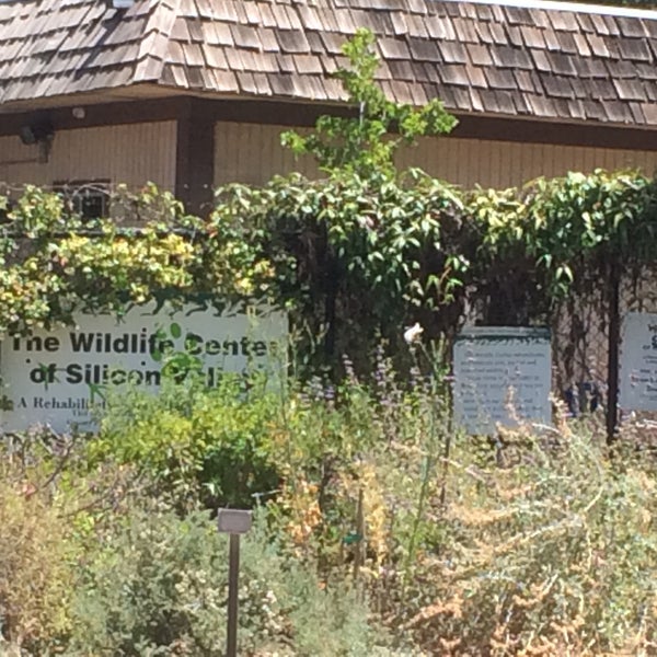 Wildlife Center of Silicon Valley Animal Shelter in San Jose
