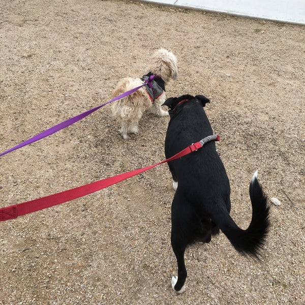 Brandi Fenton Dog Park 2 tips from 194 visitors