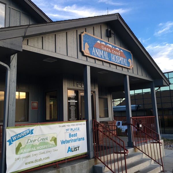 deer creek animal hospital littleton