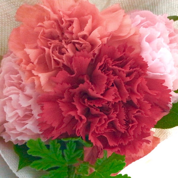 青山フラワーマーケット Flower Shop
